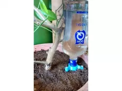 Automatic Plant Waterer