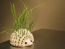 Growing Spikes Planter Hedgehog