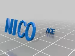 NICO Inscription Ring