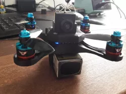 Sparrow 137