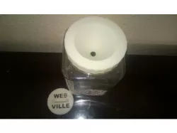 Spider Habitat Fly Trap