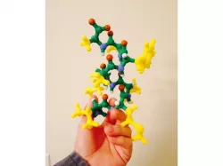 The 20 standard amino acids