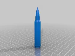 300 Winchester Magnum
