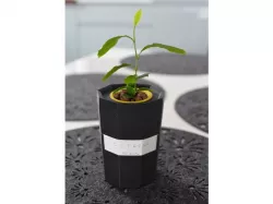 HydroPot