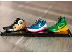 Nike Hyperdunk 2014