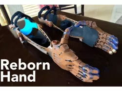 Reborn Hand
