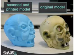 Skull