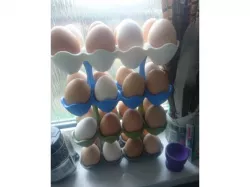 Stackable Egg Storage Rack