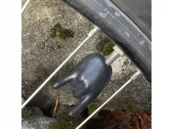 Big Horn Bicycle Valve Cap (Presta)