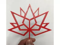 Canada 150 Logo Wireframe