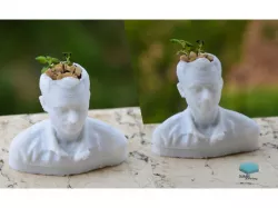 flower pot