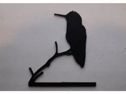 Humming Bird 2d Art