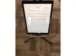 iPad Pro 12.9" Mic Stand Holder