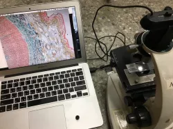 Logitech C310 webcam to Microscope