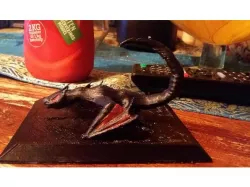 Nargacuga