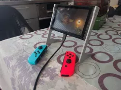 Nintendo Switch stands
