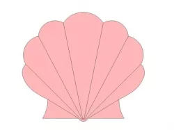 Sea Shell