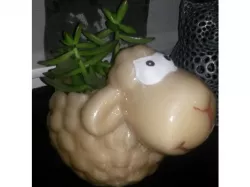 sheep-planter