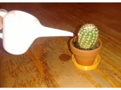 Watering Can