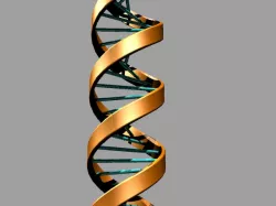 DNA 