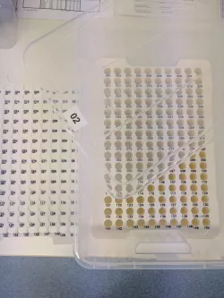 Ikea Samla Box Sample Archive / Biobank