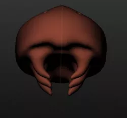 Kabuto