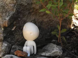 KODAMA