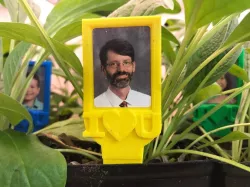 Picture Frame Plant Stake