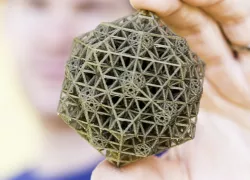 QSN - 3D Printer Torture Test Art (Quasicrystalline Spin Network)