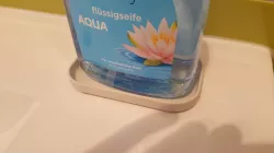 Soap dispenser dish