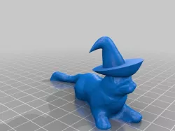 Wizard Cat