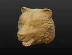 Bear Head