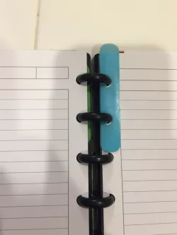 Disc System Page Marker