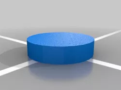 Hockey Puck