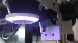 Ring Light for Stereo Microscope