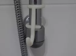 Shower hook