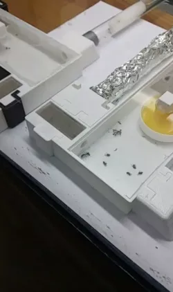 Ant Test tube module setup (Good for beginning colony's)