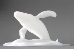 Big Whale Jumping