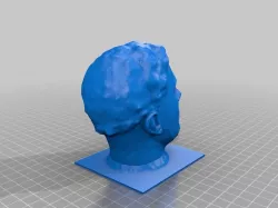 bust of my head for art class