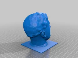 bust of my head for art class
