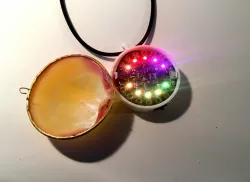 Circuit Playground Necklace Case