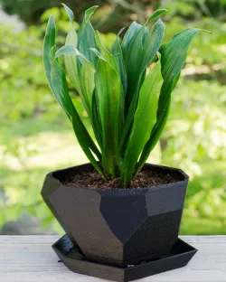Low Poly Planter