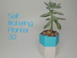 Self-watering Planter 3