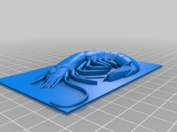▷ shrimp trap 3d models 【 STLFinder 】