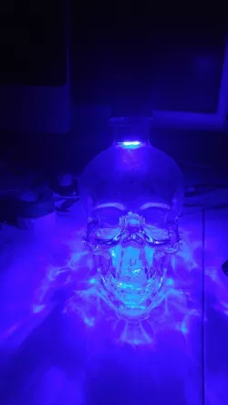 Skull Liquor Bottle LED and 9V Battery Holder