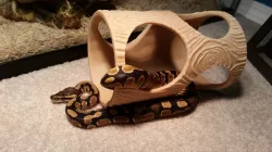 Snake Hide - Fake Log