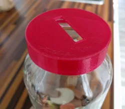True Fruits Big Money Box
