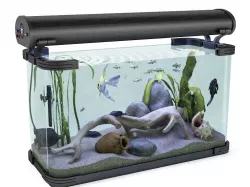 Aquarium 3D model
