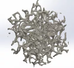 Auxetic Foam Sample