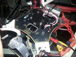 CC3D Case